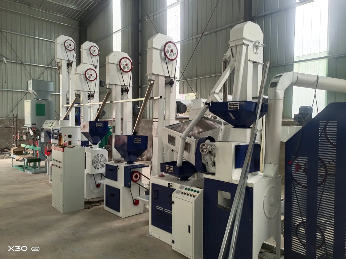 15 TPD Rice Milling Line Installed in China | Starlight Machinery