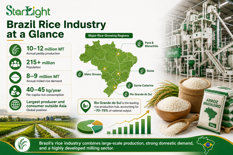 Brazil rice industry infographic showing production data, major rice-growing regions, rice demand, and modern milling equipment.