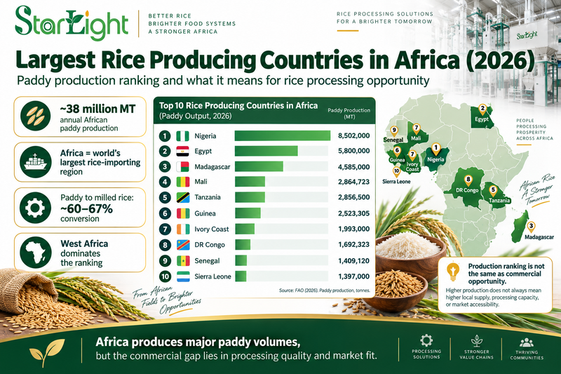 Largest Rice Producing Countries in Africa (2026) | Starlight