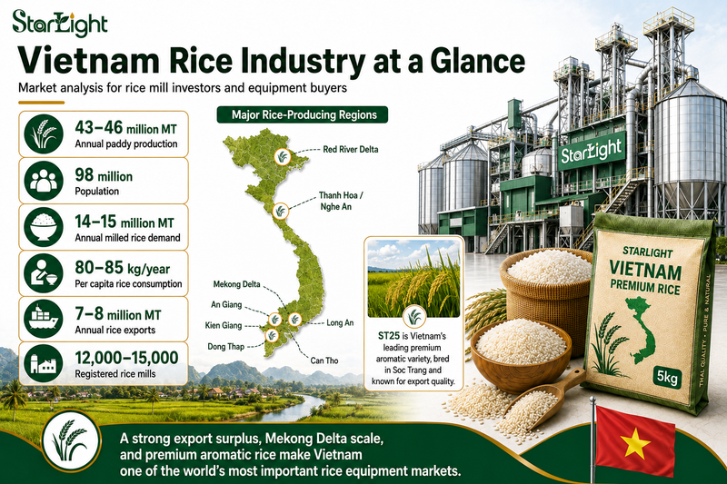 Vietnam Rice Industry Analysis | Starlight Machinery